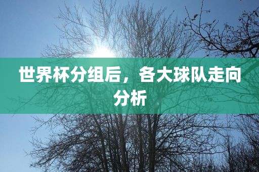 世界杯分组后，各大球队走向分析