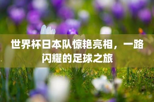 世界杯日本队惊艳亮相，一路闪耀的足球之旅