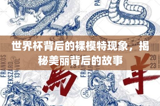 世界杯背后的裸模特现象，揭秘美丽背后的故事
