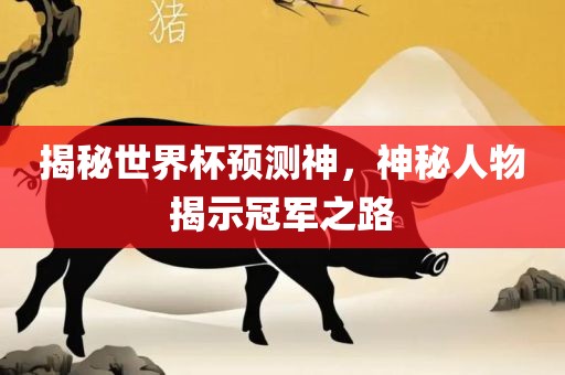 揭秘世界杯预测神，神秘人物揭示冠军之路