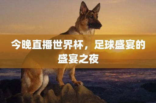今晚直播世界杯，足球盛宴的盛宴之夜