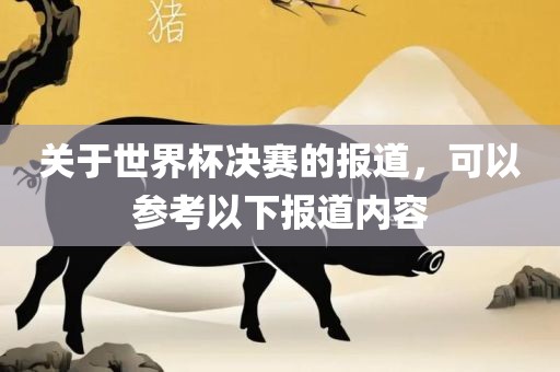 关于世界杯决赛的报道，可以参考以下报道内容