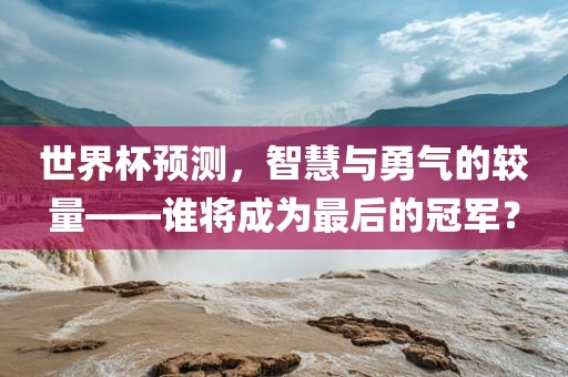 世界杯预测，智慧与勇气的较量——谁将成为最后的冠军？