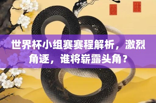 世界杯小组赛赛程解析，激烈角逐，谁将崭露头角？