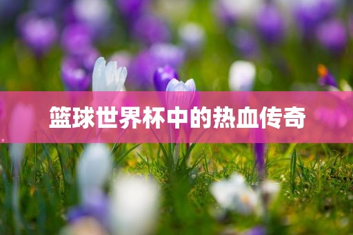 篮球世界杯中的热血传奇