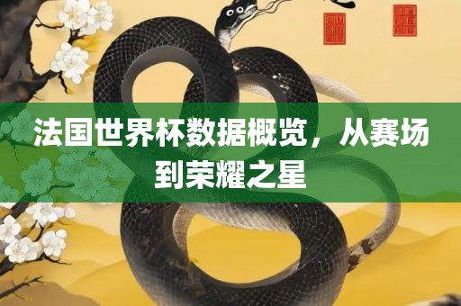 法国世界杯数据概览，从赛场到荣耀之星