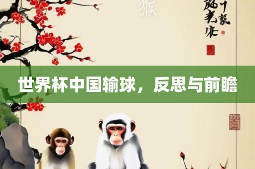 世界杯中国输球，反思与前瞻