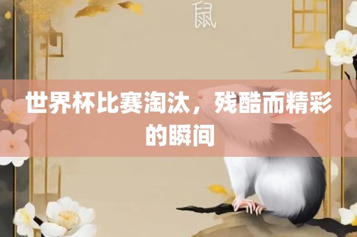 世界杯比赛淘汰，残酷而精彩的瞬间