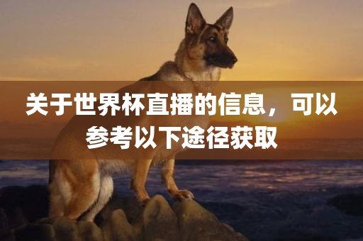 关于世界杯直播的信息，可以参考以下途径获取