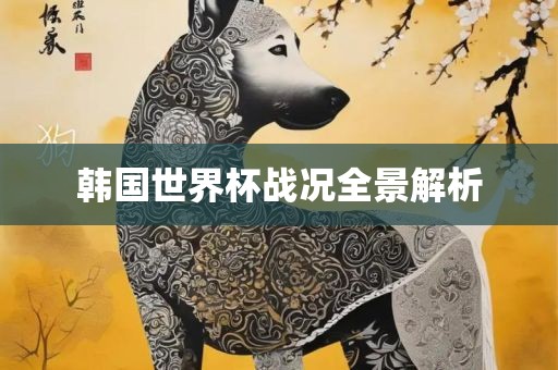 韩国世界杯战况全景解析