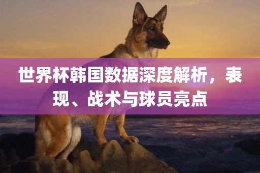 世界杯韩国数据深度解析，表现、战术与球员亮点