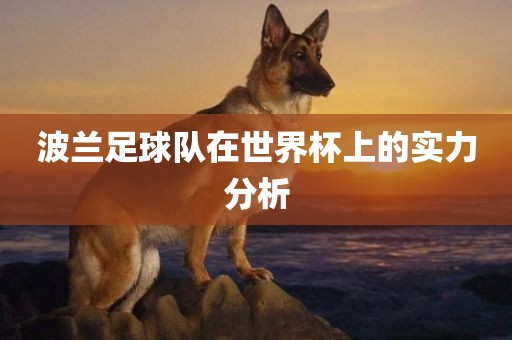 波兰足球队在世界杯上的实力分析