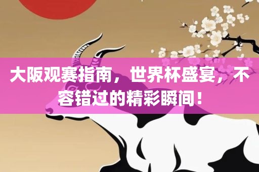 大阪观赛指南，世界杯盛宴，不容错过的精彩瞬间！