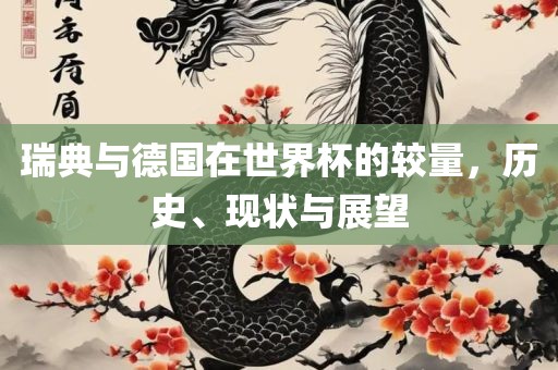 瑞典与德国在世界杯的较量，历史、现状与展望