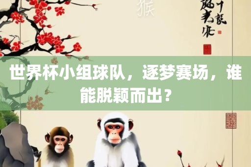 世界杯小组球队，逐梦赛场，谁能脱颖而出？