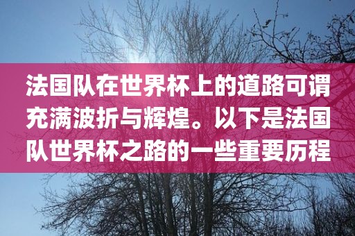 法国队在世界杯上的道路可谓充满波折与辉煌。以下是法国队世界杯之路的一些重要历程