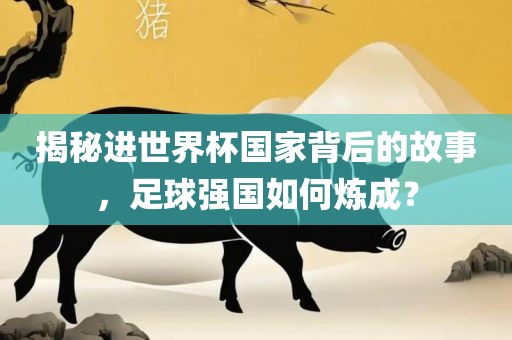 揭秘进世界杯国家背后的故事，足球强国如何炼成？