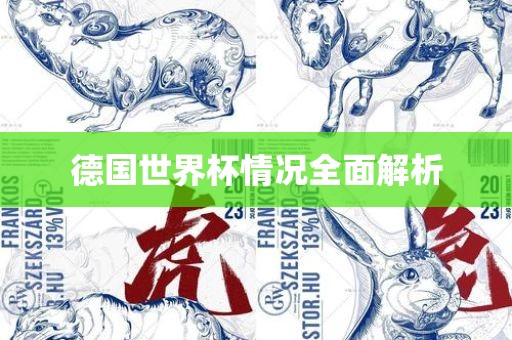 德国世界杯情况全面解析