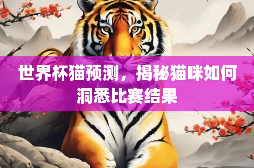 世界杯猫预测，揭秘猫咪如何洞悉比赛结果