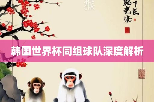 韩国世界杯同组球队深度解析