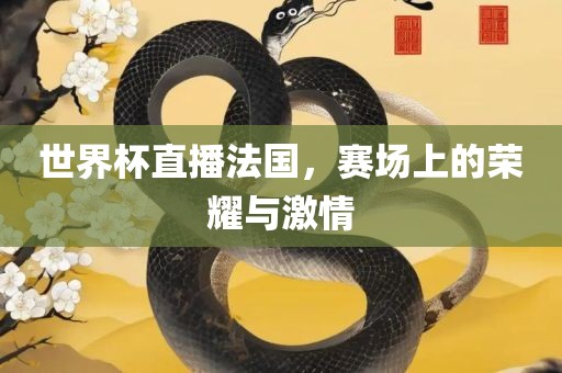 世界杯直播法国，赛场上的荣耀与激情