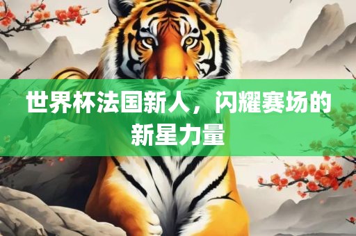 世界杯法国新人，闪耀赛场的新星力量