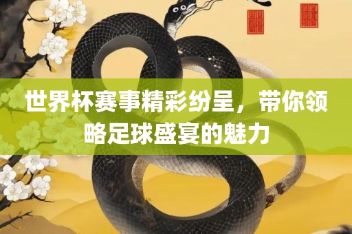 世界杯赛事精彩纷呈，带你领略足球盛宴的魅力