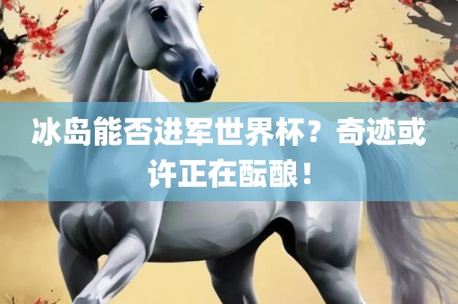 冰岛能否进军世界杯？奇迹或许正在酝酿！