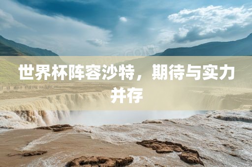 世界杯阵容沙特，期待与实力并存