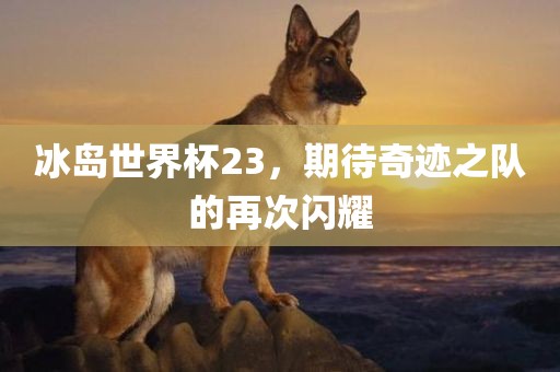 冰岛世界杯23，期待奇迹之队的再次闪耀