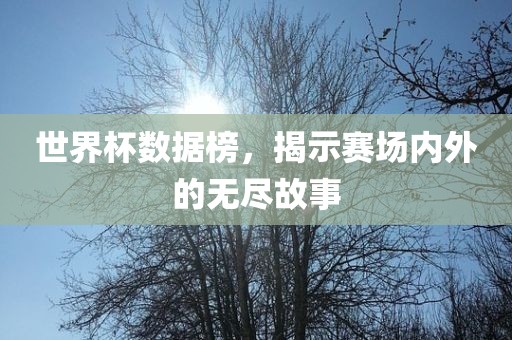 世界杯数据榜，揭示赛场内外的无尽故事