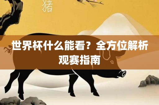 世界杯什么能看？全方位解析观赛指南