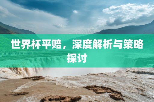 世界杯平赔，深度解析与策略探讨
