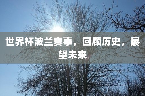 世界杯波兰赛事，回顾历史，展望未来