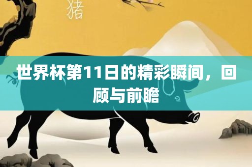 世界杯第11日的精彩瞬间，回顾与前瞻