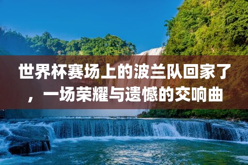 世界杯赛场上的波兰队回家了，一场荣耀与遗憾的交响曲