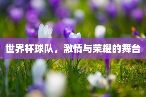 世界杯球队，激情与荣耀的舞台