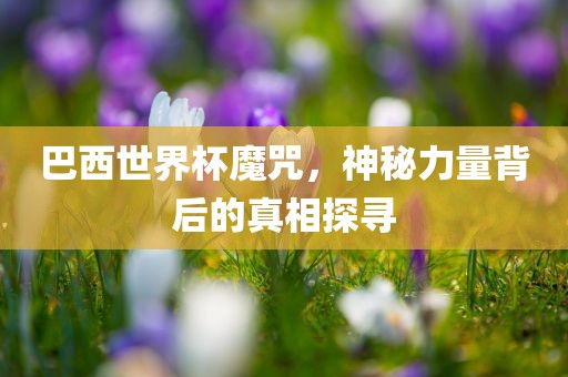 巴西世界杯魔咒，神秘力量背后的真相探寻