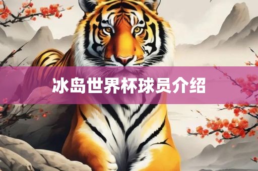 冰岛世界杯球员介绍
