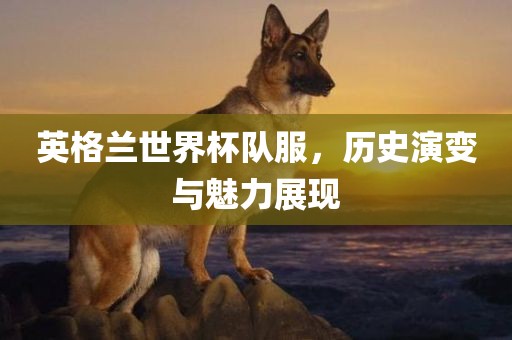 英格兰世界杯队服，历史演变与魅力展现