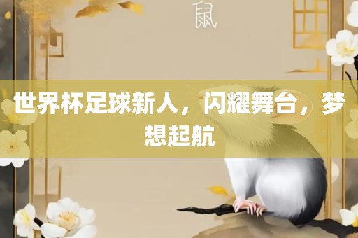 世界杯足球新人，闪耀舞台，梦想起航