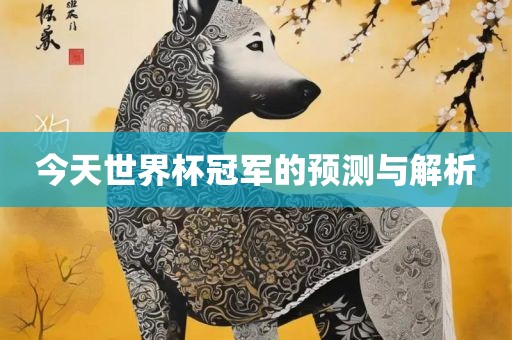 今天世界杯冠军的预测与解析