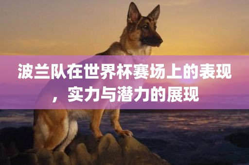 波兰队在世界杯赛场上的表现，实力与潜力的展现