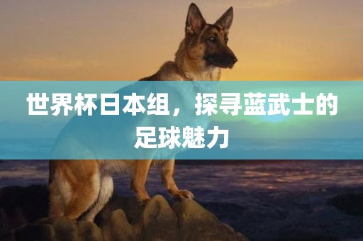 世界杯日本组，探寻蓝武士的足球魅力