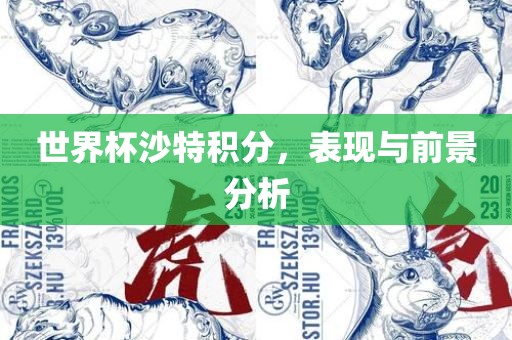 世界杯沙特积分，表现与前景分析
