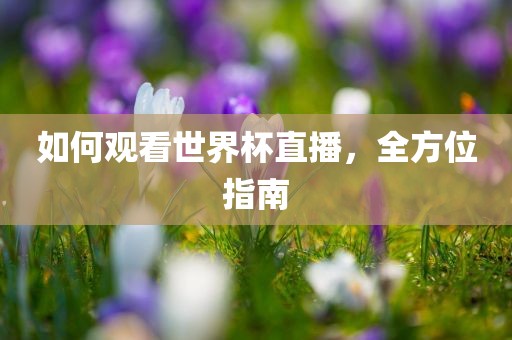 如何观看世界杯直播，全方位指南