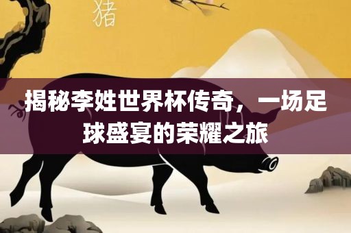 揭秘李姓世界杯传奇，一场足球盛宴的荣耀之旅