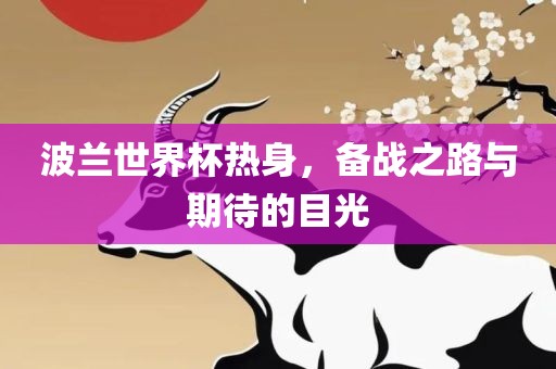 波兰世界杯热身，备战之路与期待的目光