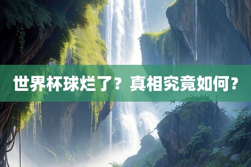 世界杯球烂了？真相究竟如何？
