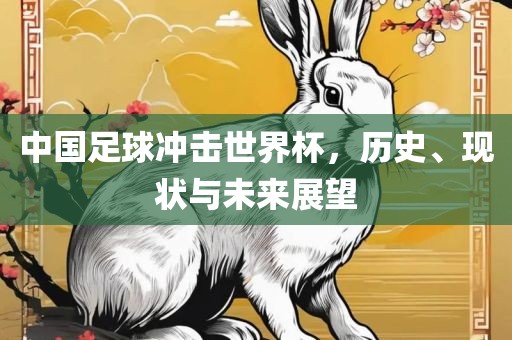 中国足球冲击世界杯，历史、现状与未来展望